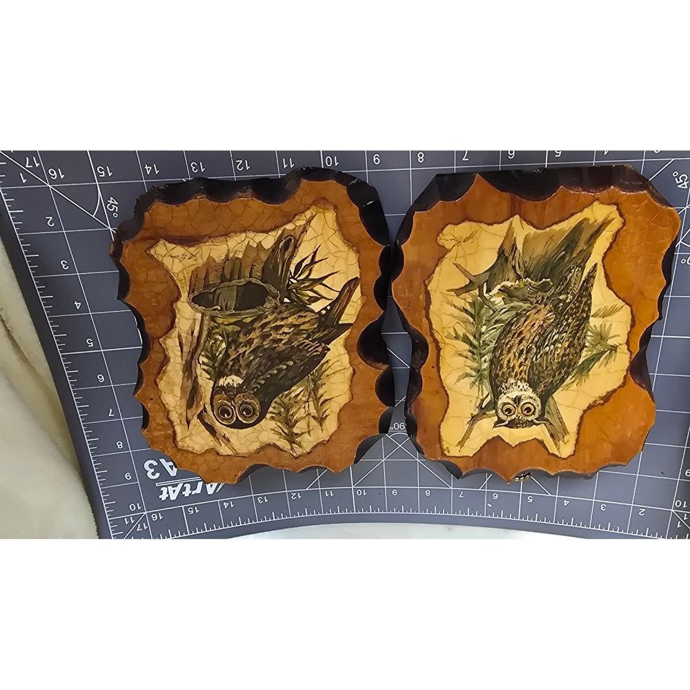 Vintage 70s Owl Wood Plaque Wall Art Set 2 Decoupage Mid Century Modern Rustic